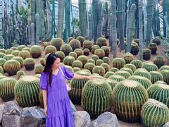 -南山植物园