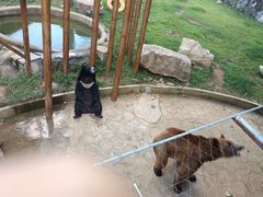 -无锡动物园·太湖欢乐园