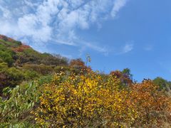 -抱龙峪