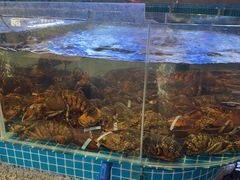 -蓝珊甄选海鲜自助·火锅大排档(近阿那亚店)