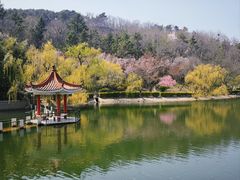 -北岭山森林公园