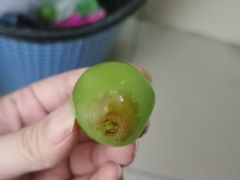 -乐乐鲜果水果超市(河北店)