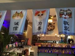 -猫咪博物馆(顶澳仔猫街店)