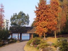 -千岛湖龙川湾