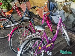 -卡帕莱度假村(西巴丹岛)