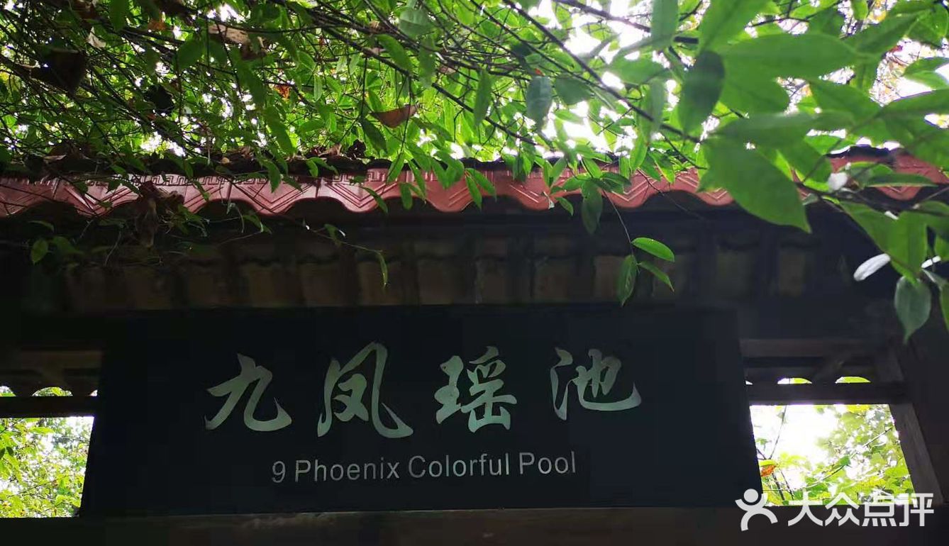重庆3个热门景点合辑攻略