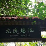 重庆3个热门景点合辑攻略