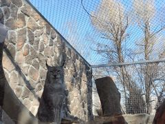 -青藏高原野生动物园
