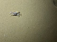 -惠州金海湾嘉华度假酒店