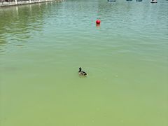 -阿方索十二世纪念碑