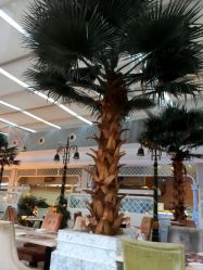 android_upload_pic-阳光五洲大酒店·宴会厅