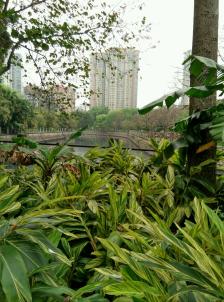 晓港公园-"晓港公园位于前进路(东门),西门位于江南."-大众点评移动版