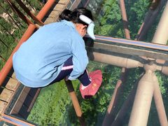 -少华山国家森林公园