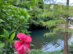 -马峦山郊野公园
