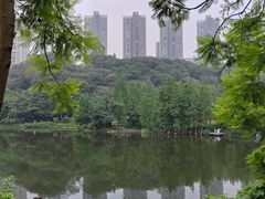 -重庆彩云湖湿地公园