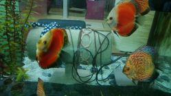 android_upload_pic-小左美发