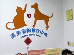 -美美宠物诊疗中心·异宠·骨科(滨江东信分院)