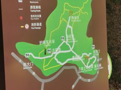 -上海佘山国家森林公园天马山园