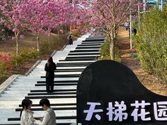 -盈香心动乐园