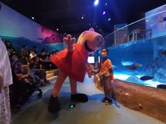 -沈阳海洋探索中心