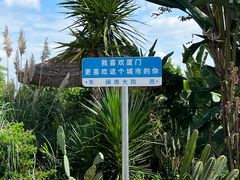 -巨鹏飞梦幻海岸