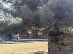 -护国法轮寺