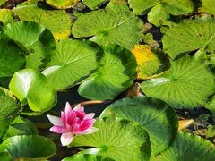 -维乐口腔医院(福清院)