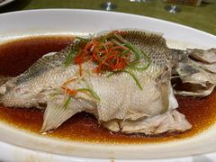 清蒸鲈鱼-北京全聚德(西翠路店)
