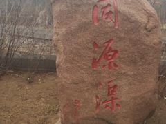 -大槐树寻根祭祖园