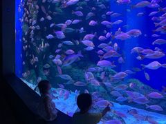 -成都浩海立方海洋公园