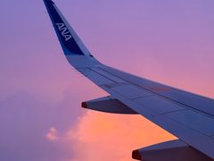 -全日本空输株式会社(上海办事处)