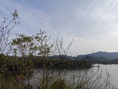 -红花湖景区