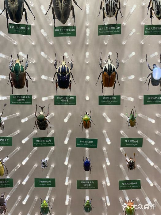 国家自然博物馆图片