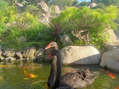 -罗红摄影艺术馆