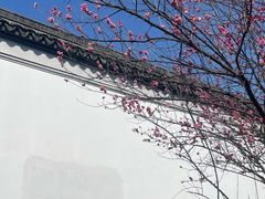 -八大山人梅湖景区