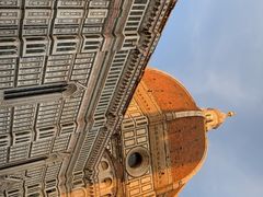 -圣母百花大教堂穹顶