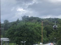 -点都德(广州白云山景区南门店)