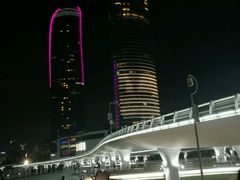 -演武大桥观景平台