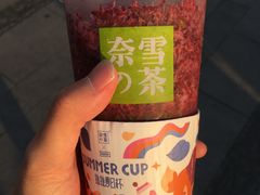霸气杨梅-奈雪的茶(湖滨银泰in77C区PRO店)