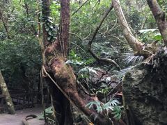 -七仙岭温泉国家森林公园