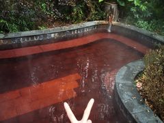 -洪湖悦兮半岛国际温泉度假村