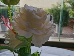 -名甬鲜坊·宁波海鲜(爱琴海店)
