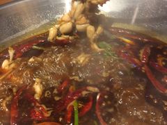 -红牌美蛙鱼头火锅(万辉国际广场店)
