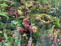 -国家植物园南园