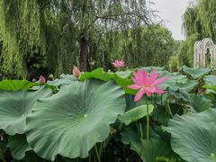 -天毓山庄·餐厅