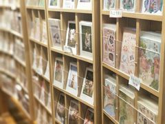 -猫的天空之城概念书店(束河店)