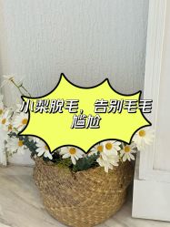 -小梨·OndaPro·专业脱毛连锁机构