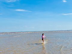 -南汇嘴观海公园