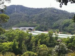 -深圳仙湖植物园