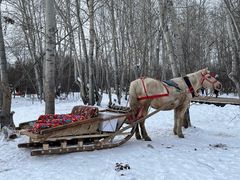 -北极村旅游风景区